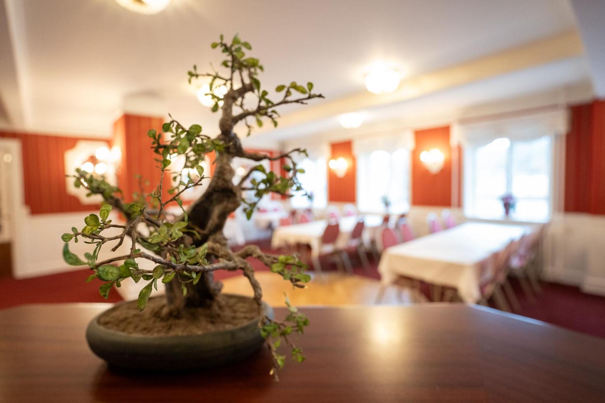 Frederiksvaerk Hotel Ngoại thất bức ảnh